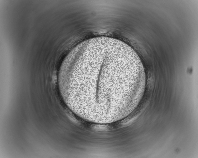 X0000098170085200805221524