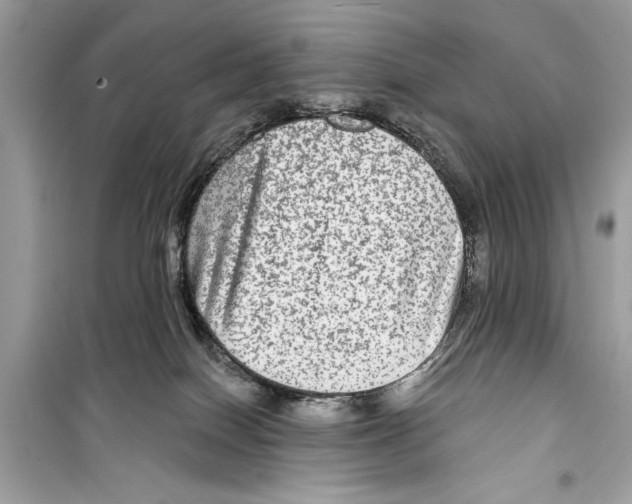 X0000098170086200805221524