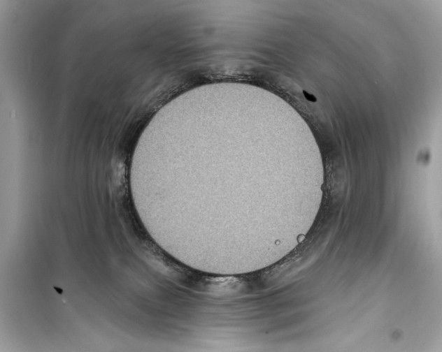 X0000098170087200805221524