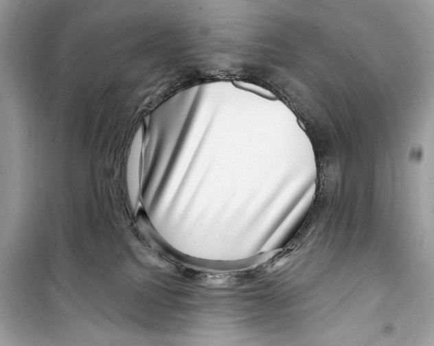 X0000098170088200805221524