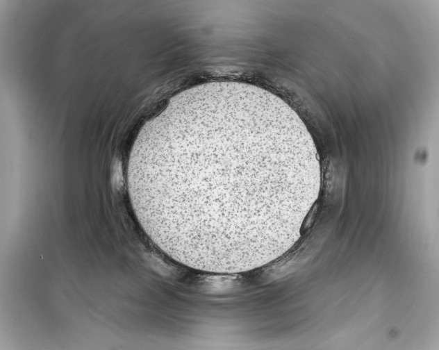 X0000098170089200805221524