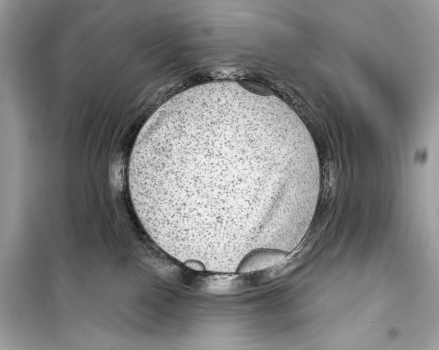 X0000098170090200805221524