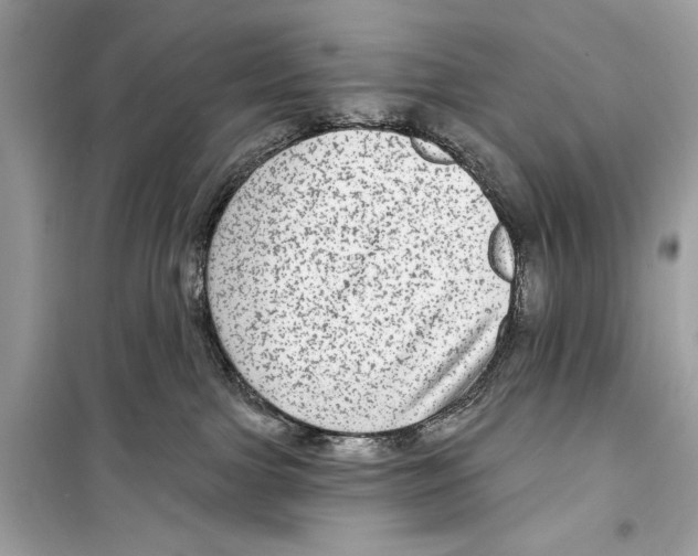 X0000098170091200805221525