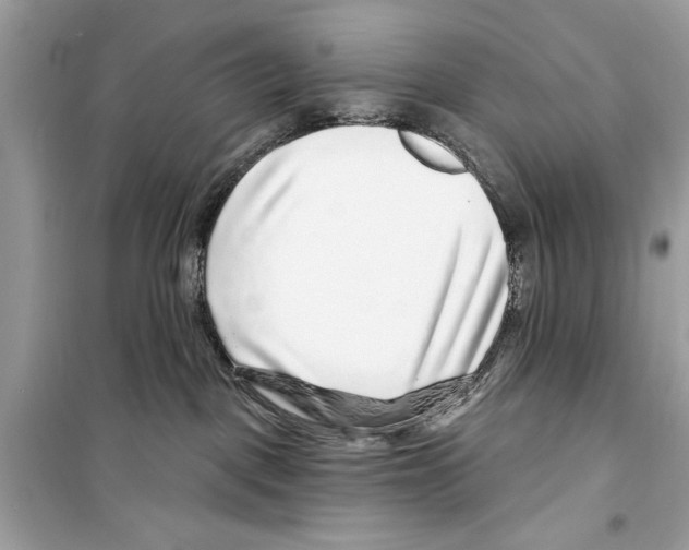 X0000098170093200805221525