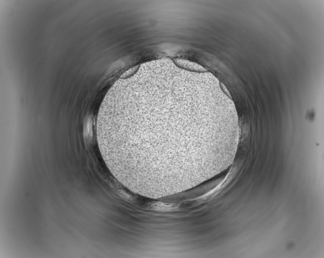 X0000098170094200805221525