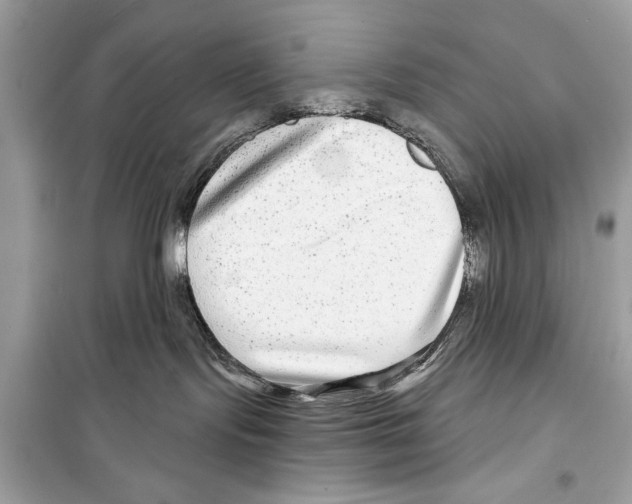 X0000098170095200805221525