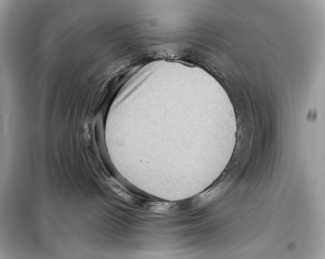 X0000098170096200805221525