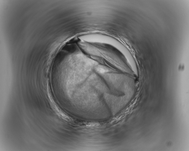 X0000098170097200805221524