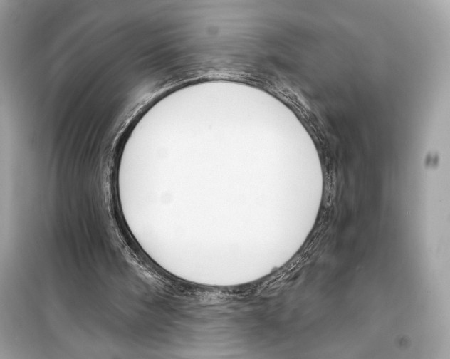 X0000098170098200805221524