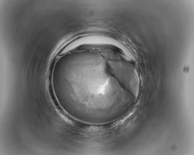 X0000098170101200805221524