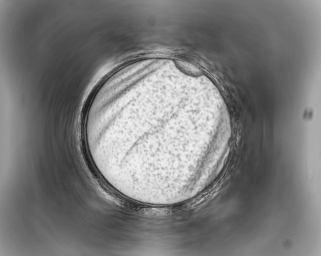 X0000098170102200805221524