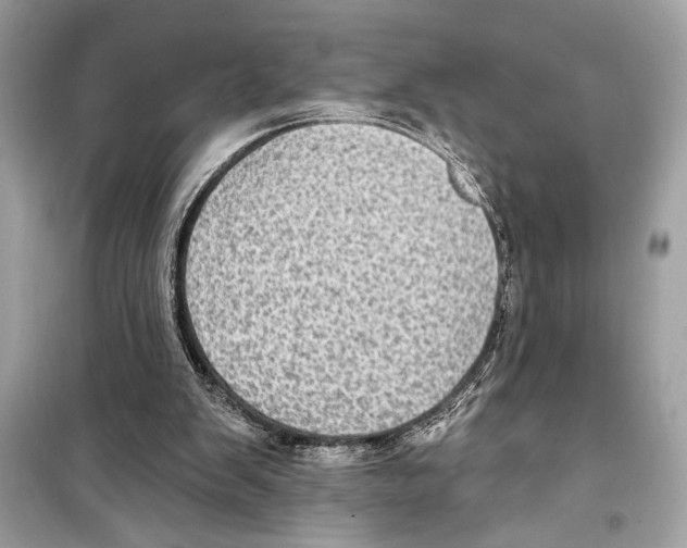 X0000098170103200805221524