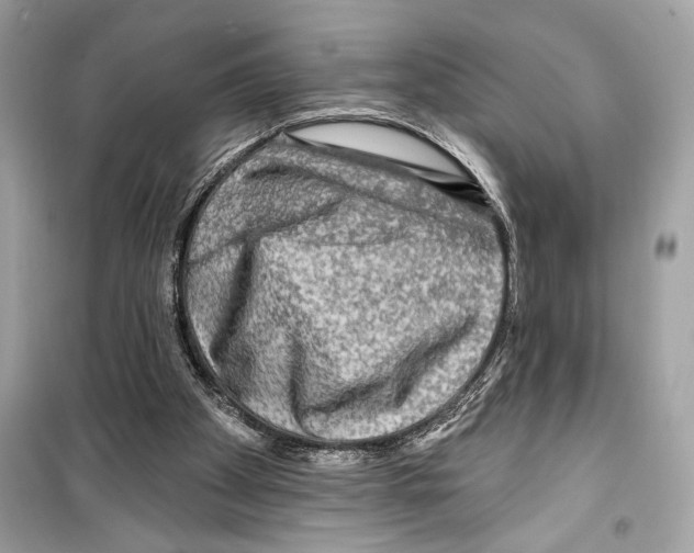 X0000098170105200805221524