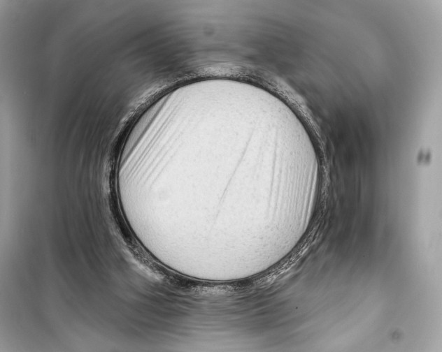 X0000098170106200805221524