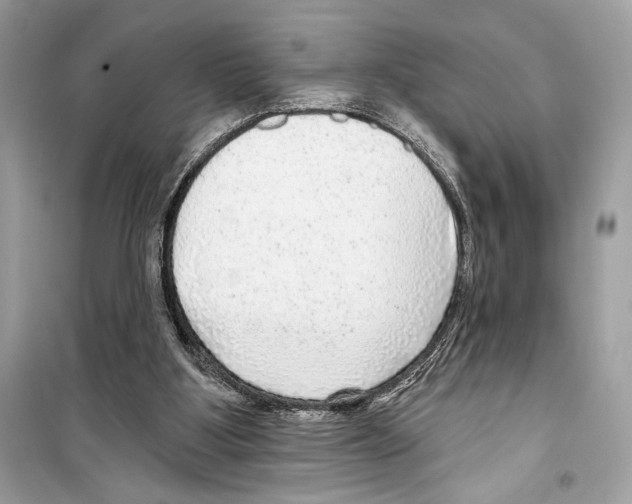 X0000098170107200805221524