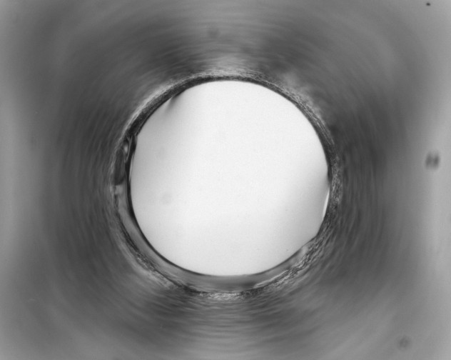 X0000098170108200805221524