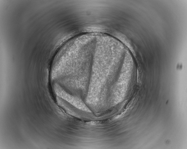 X0000098170109200805221524