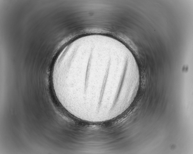 X0000098170111200805221524