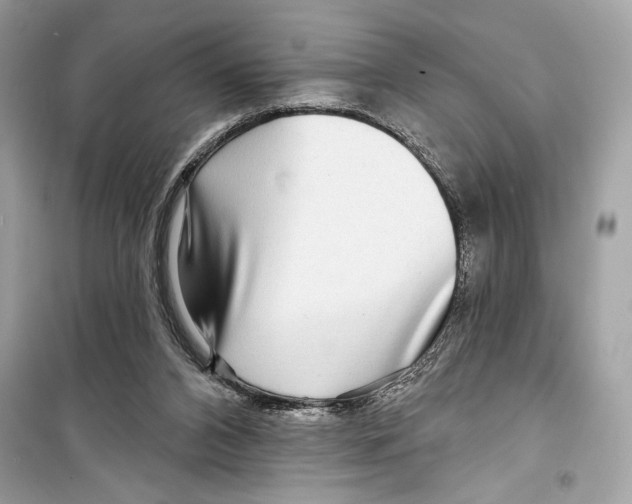 X0000098170112200805221524