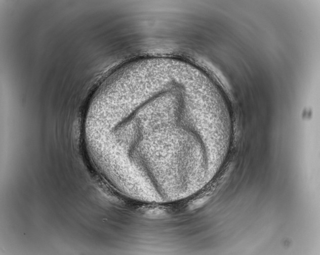 X0000098170113200805221524