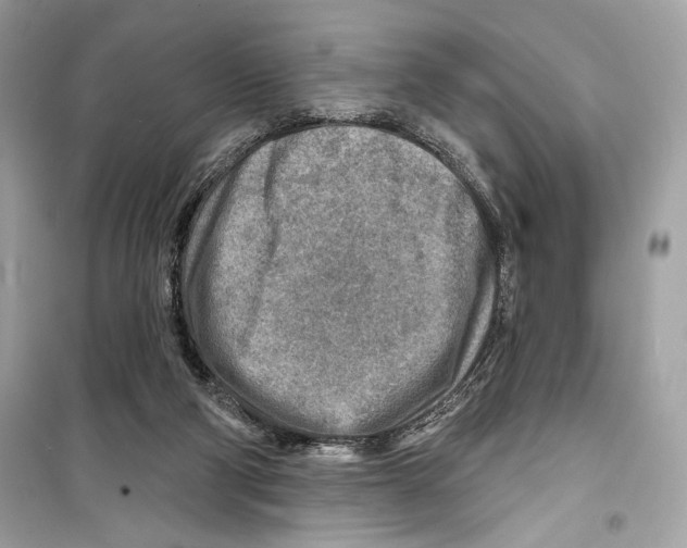 X0000098170114200805221524