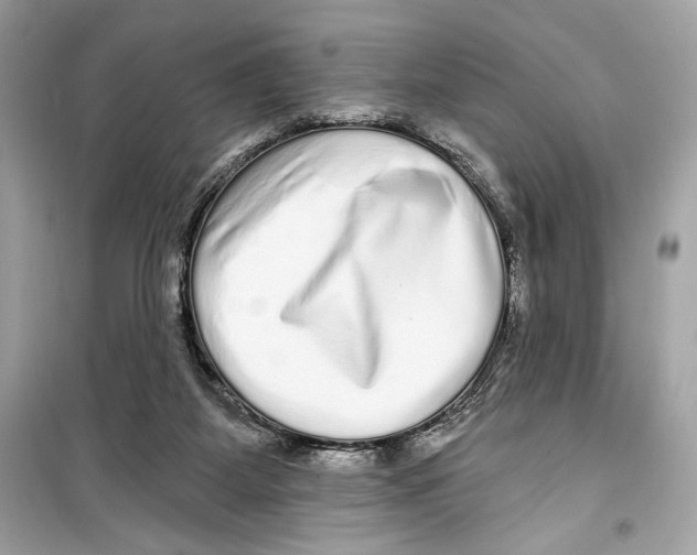 X0000098170115200805221524