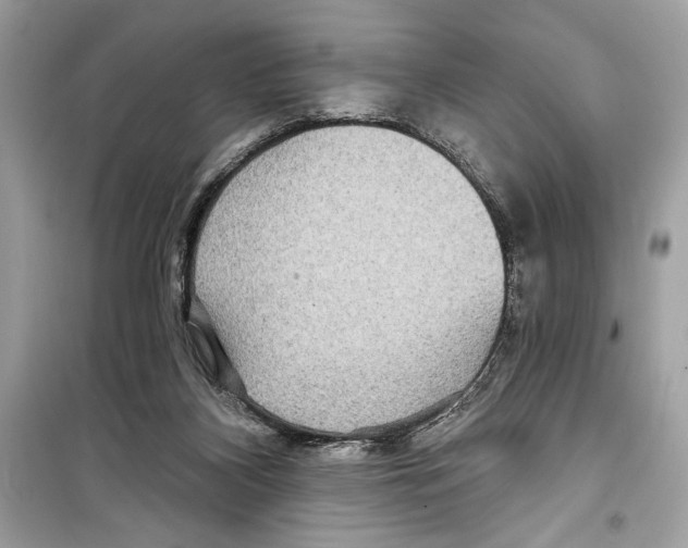 X0000098170116200805221524