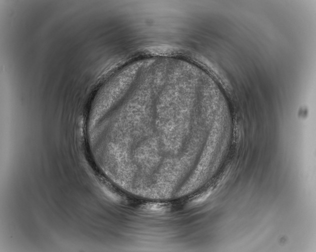 X0000098170117200805221524