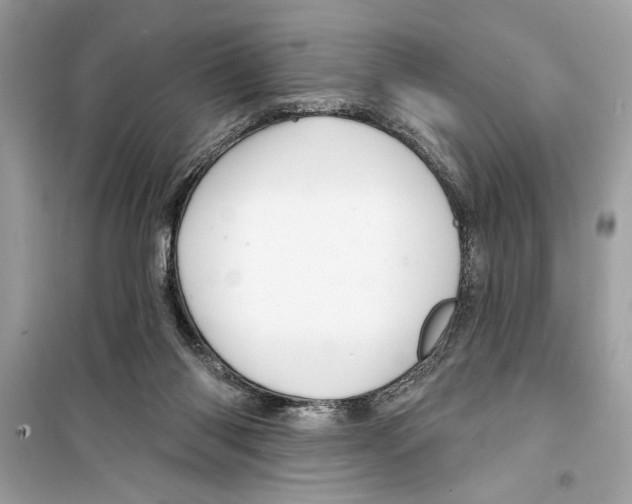 X0000098170118200805221524