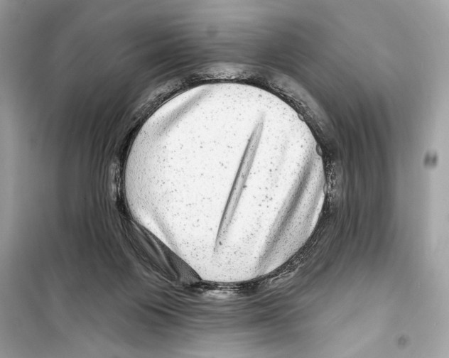 X0000098170119200805221524