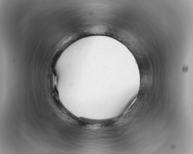 X0000098170120200805221524