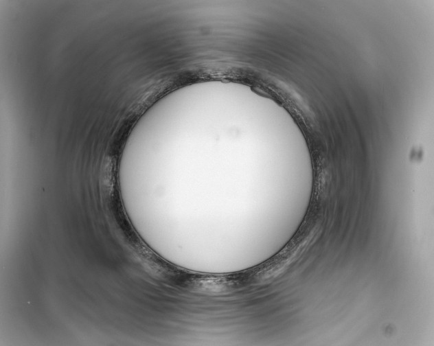 X0000098170121200805221524