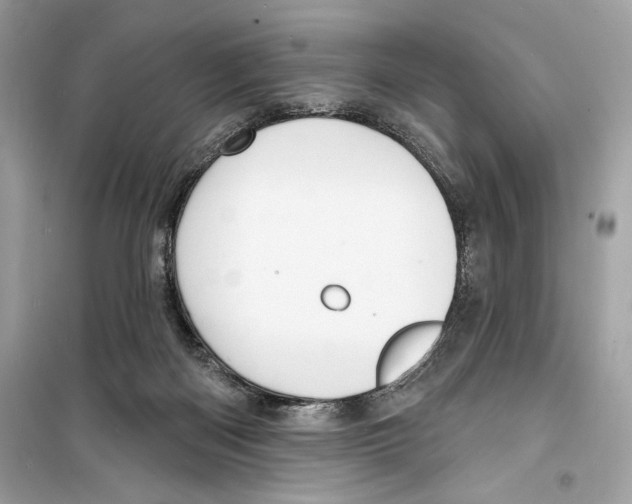 X0000098170122200805221524