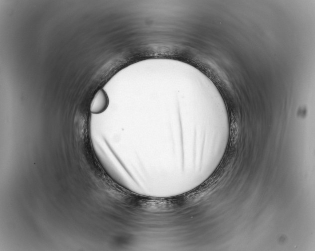 X0000098170123200805221524