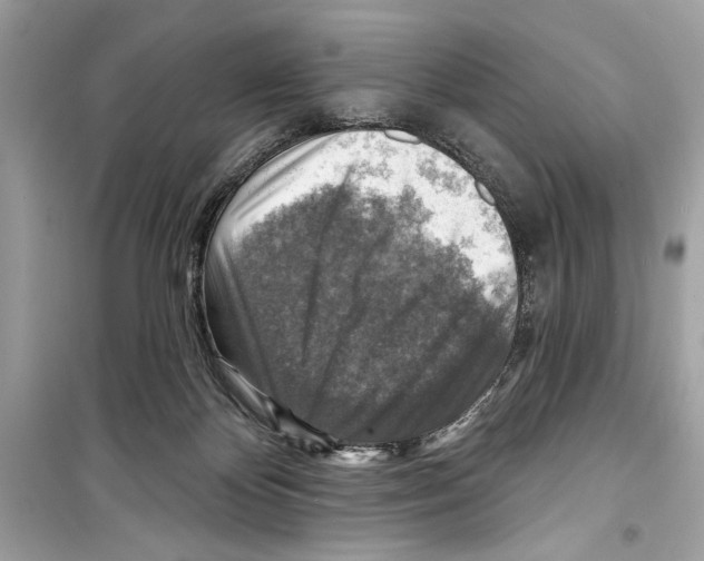 X0000098170124200805221524