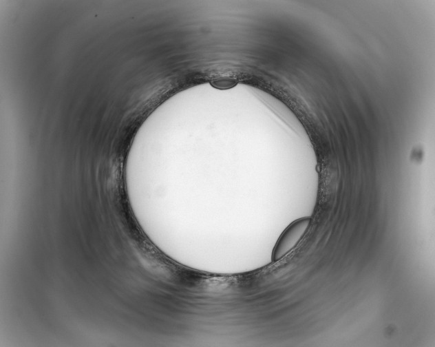 X0000098170126200805221524