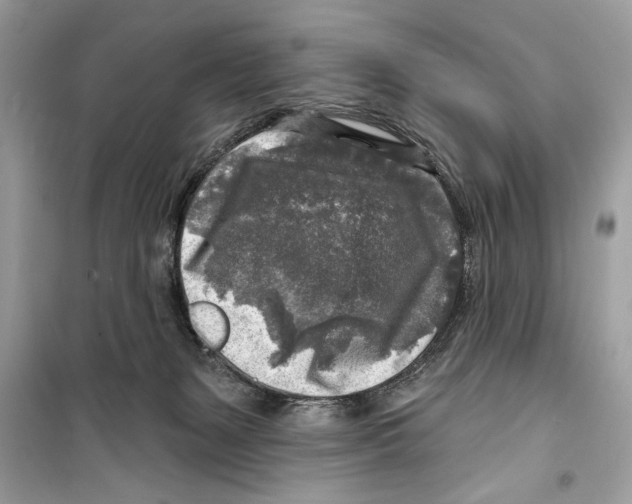 X0000098170127200805221523