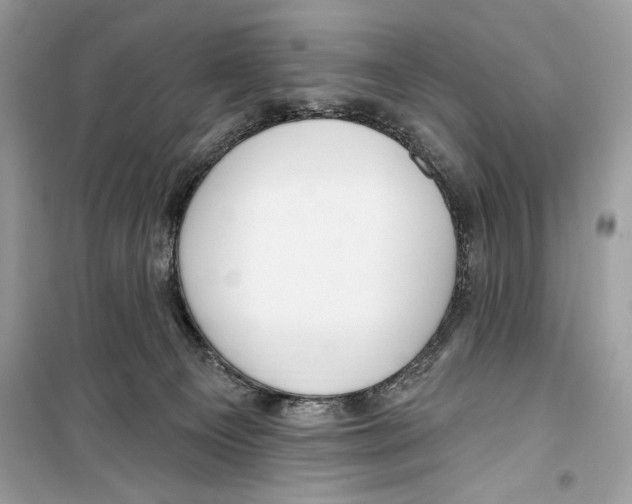 X0000098170129200805221523