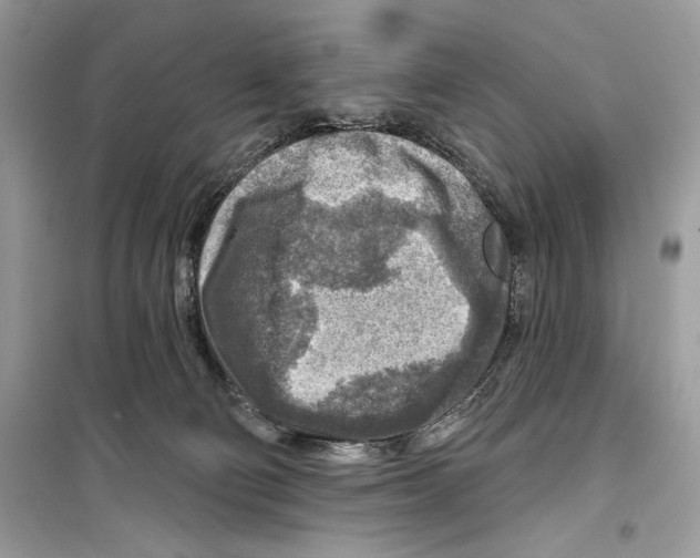 X0000098170130200805221523