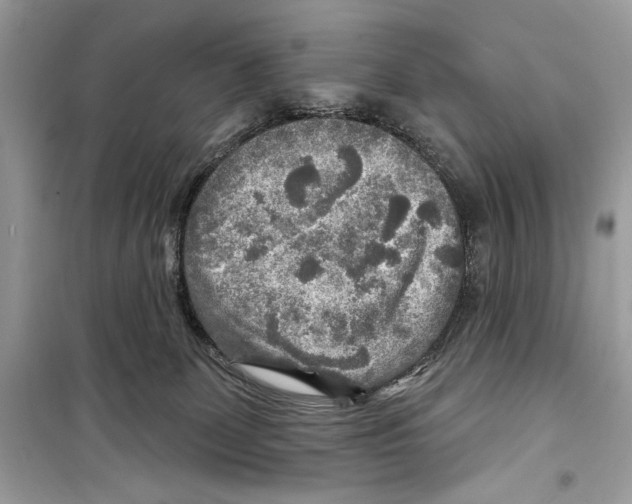 X0000098170131200805221523