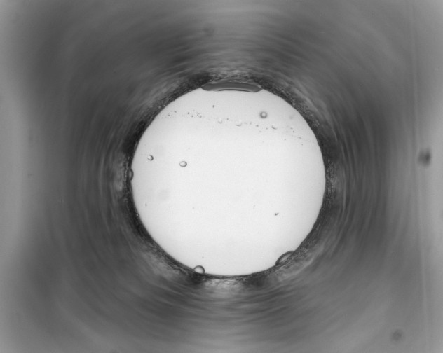 X0000098170133200805221523