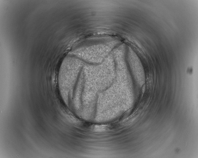 X0000098170134200805221523