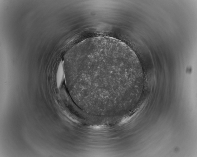 X0000098170137200805221523