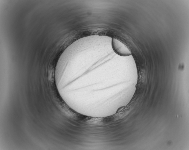 X0000098170138200805221523