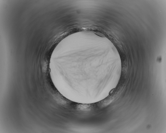 X0000098170139200805221523