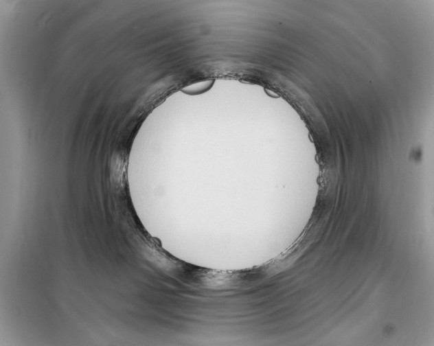 X0000098170142200805221523