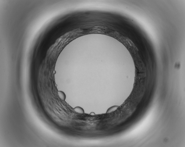 X0000098170143200805221523