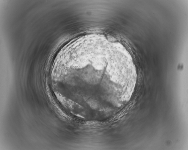 X0000098170145200805221523