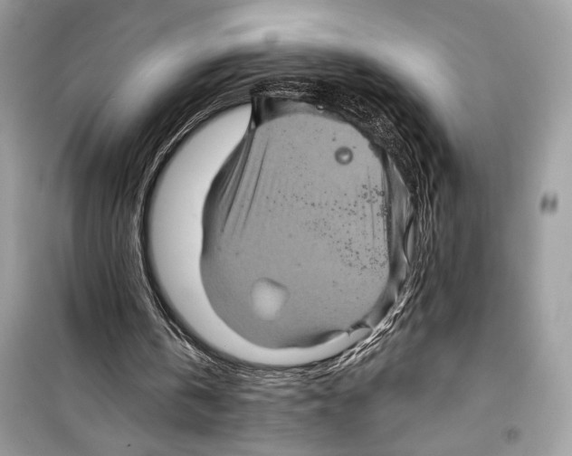 X0000098170146200805221523