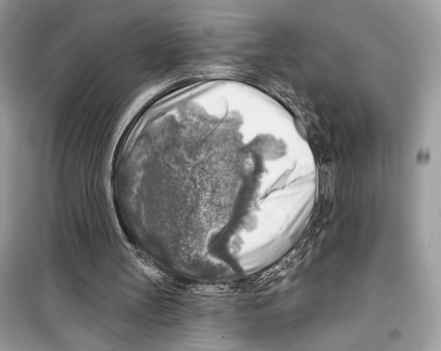 X0000098170147200805221523